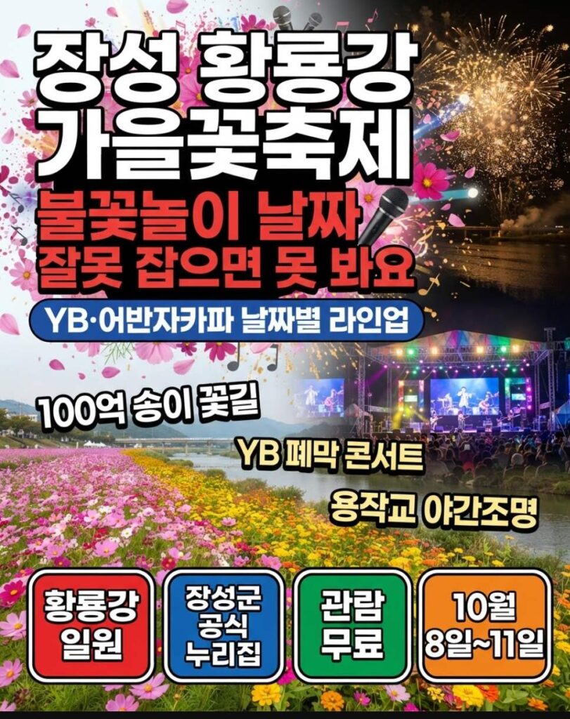 장성 황룡강 황화코스모스와 백일홍이 가득한 강변 전경