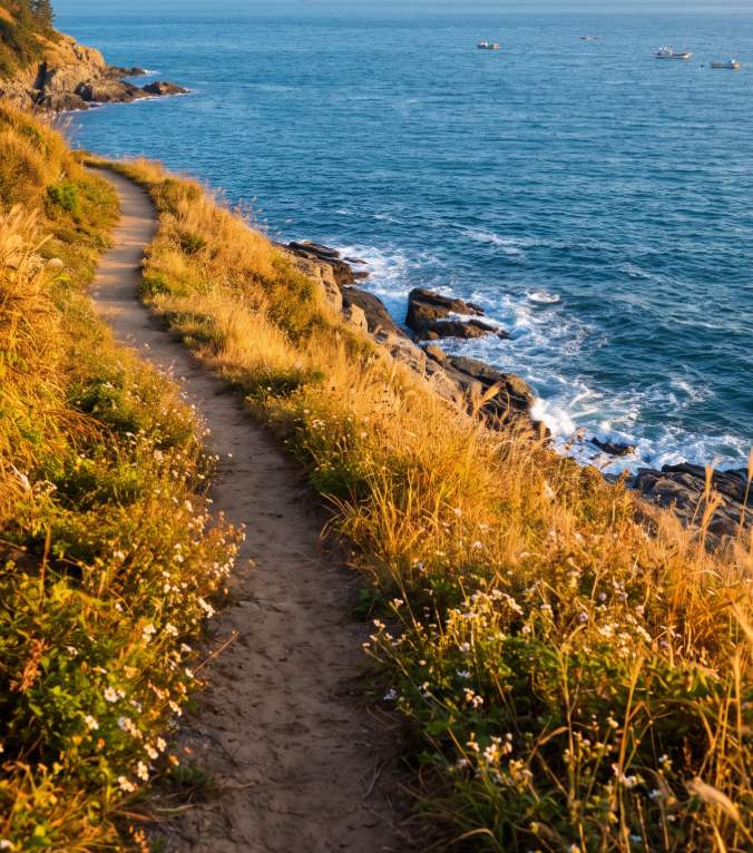 Clean Wando Autumn Island Travel 2026 — Wando Beach Park autumn coastal scenery with the southern sea and walking paths