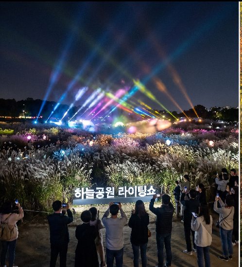Nightly Silver Grass Wind Lighting Show illuminating the silver grass fields at Haneul Park during the Seoul Silver Grass Festival