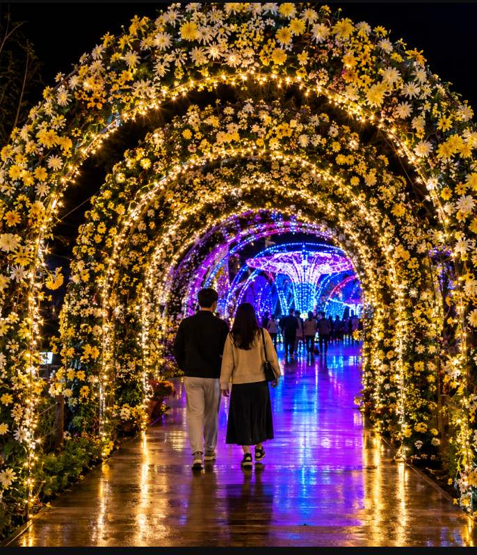 Iksan Jungang Sports Complex chrysanthemum light tunnel illuminated at night during the Ten Million Chrysanthemum Festival