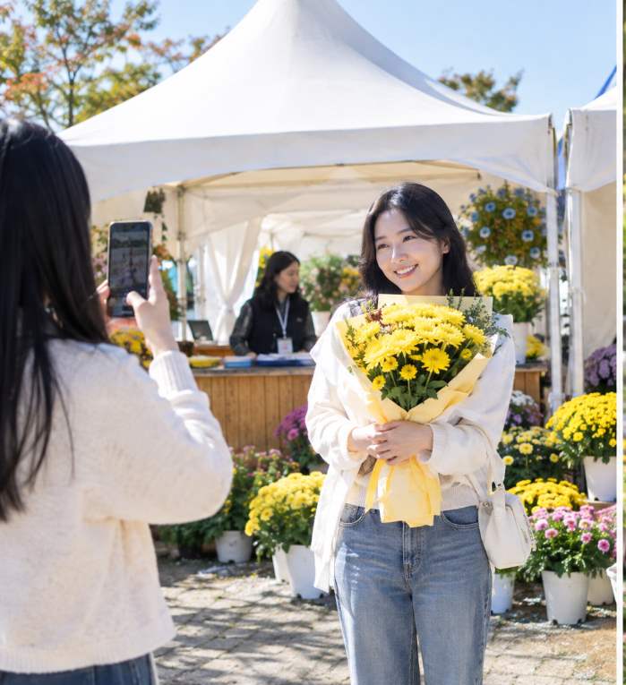 Vibrant display of 23 chrysanthemum varieties in bloom at Iksan Jungang Sports Complex during the daytime