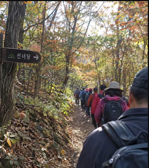Participants walking along the Jirisan Dulle-gil trail at the Jirisan Walking Festival in autumn