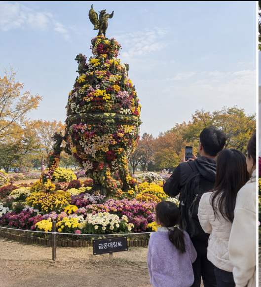 Gilt-bronze Incense Burner chrysanthemum sculpture on display at Gungnamji during the Buyeo Chrysanthemum Festival