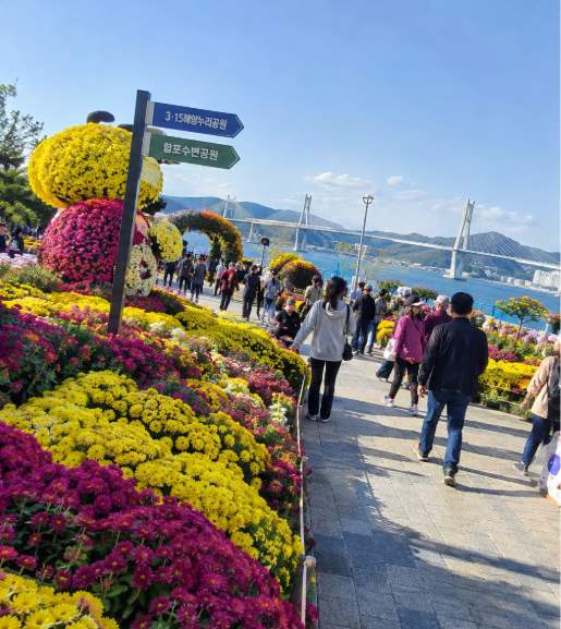 국화축제 정원 거리사진