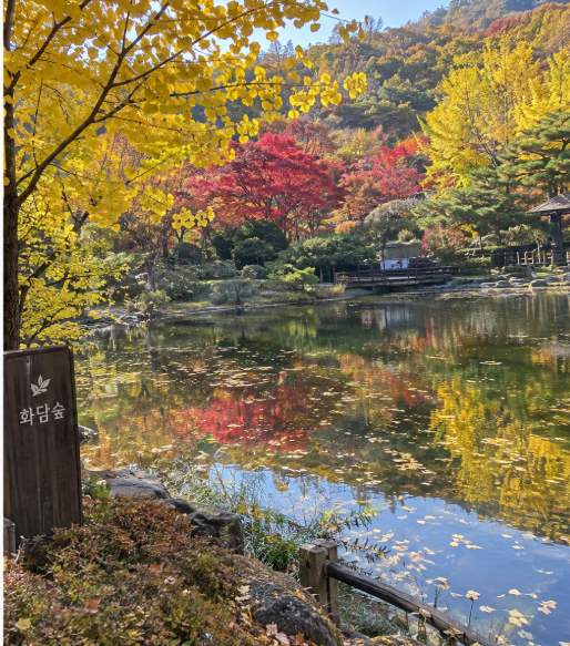 단풍 명소 인근 숙소에서 바라본 가을 산 풍경